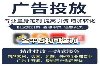 SEM推广实战：案例分析与优化
